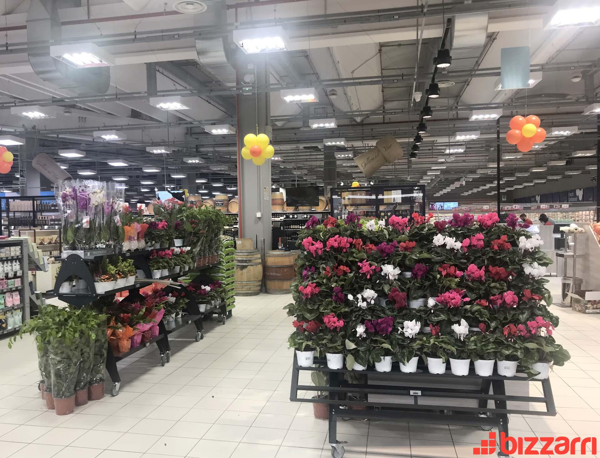 bizzarri-group-prodotti-ortofrutta-ebe120-basc-fiori-realizzazioni-var2