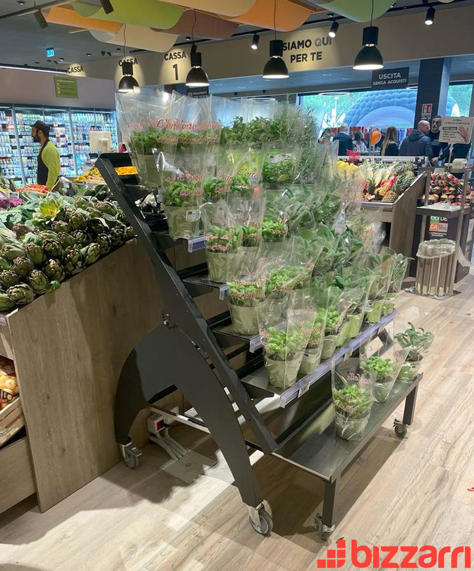 bizzarri-group-prodotti-ortofrutta-ebe120-basc-fiori-realizzazioni-var3